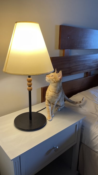 Zimmer Hotel Villas Caroline