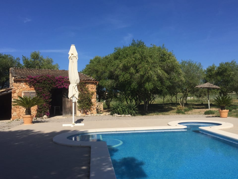 Pool Finca S Olivar d Es Coscois