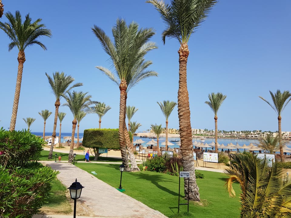 Gartenanlage Steigenberger Coraya Beach - Adults only