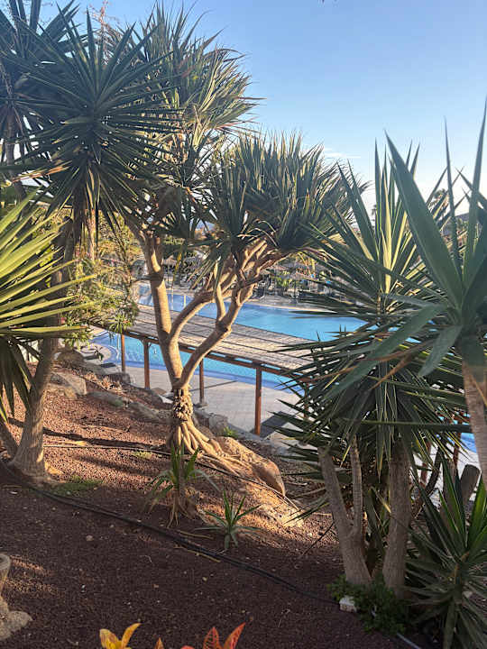 Gartenanlage allsun App.-Hotel Esquinzo Beach