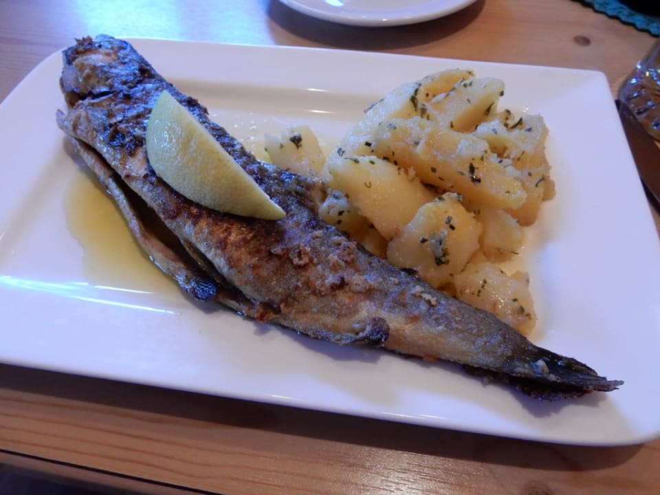 Gastro Bauernhof Greimelbacherhof