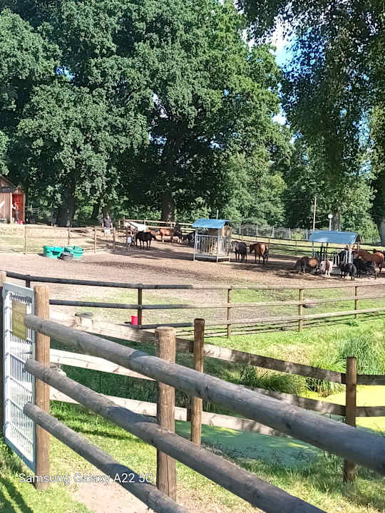 Gartenanlage Bernsteinschloss