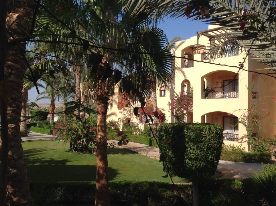 Zimmer 1403 Steigenberger Coraya Beach - Adults only