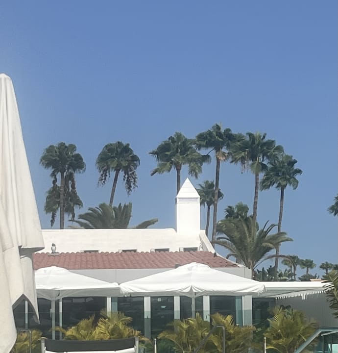 Sonstiges Canary Garden Club