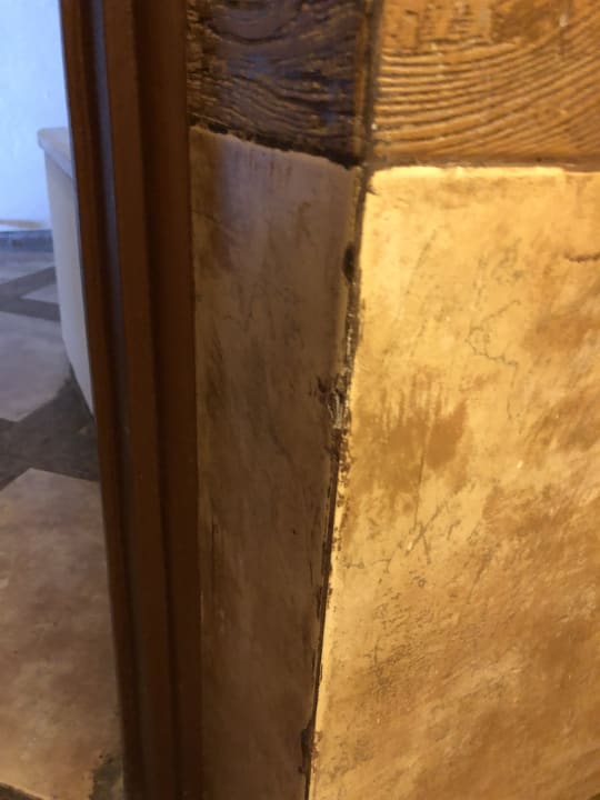 Zimmer Pickalbatros Citadel Resort