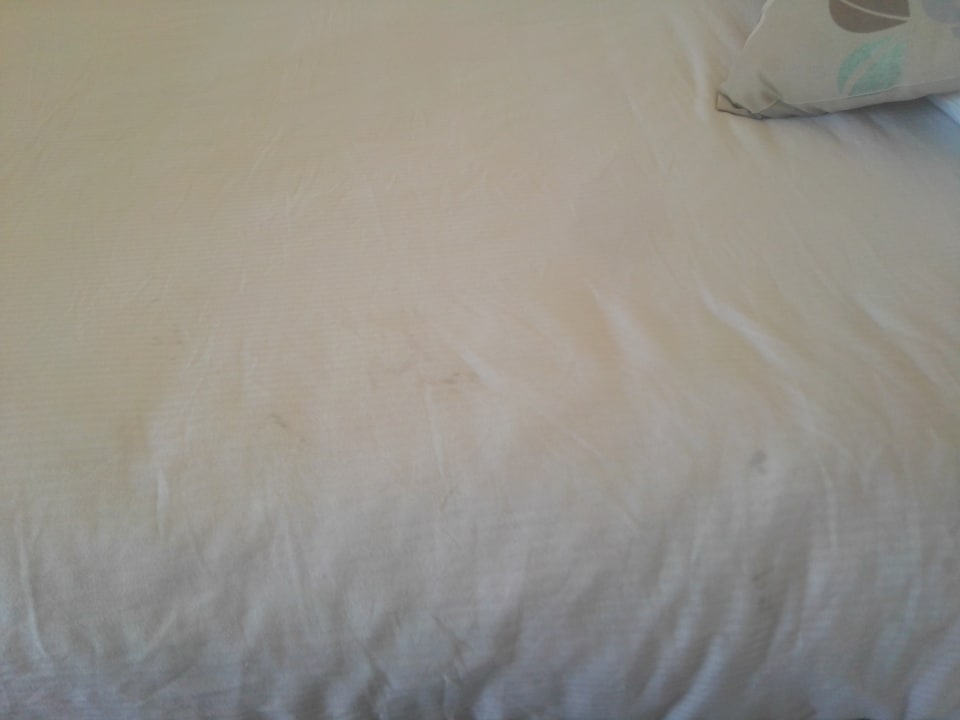 Zimmer Pickalbatros Citadel Resort