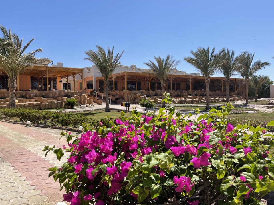 Gastro Three Corners Sea Beach Resort