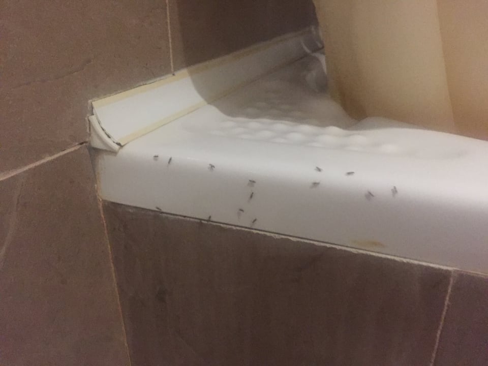 Zimmer Hotel Kalithea Horizon Royal