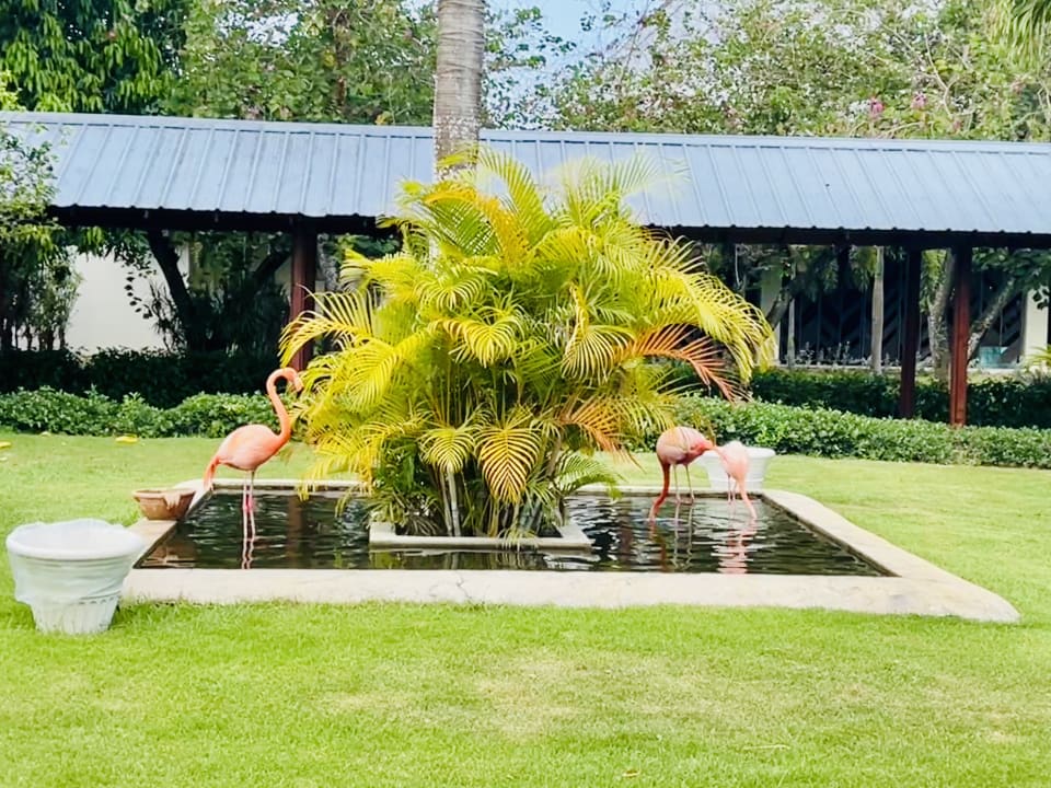 Gartenanlage Secrets La Romana Resort & Spa - Adult Only
