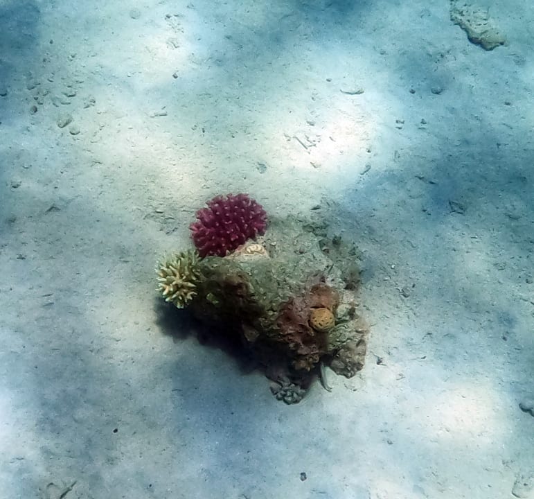 Strand Hurghada Long Beach Resort