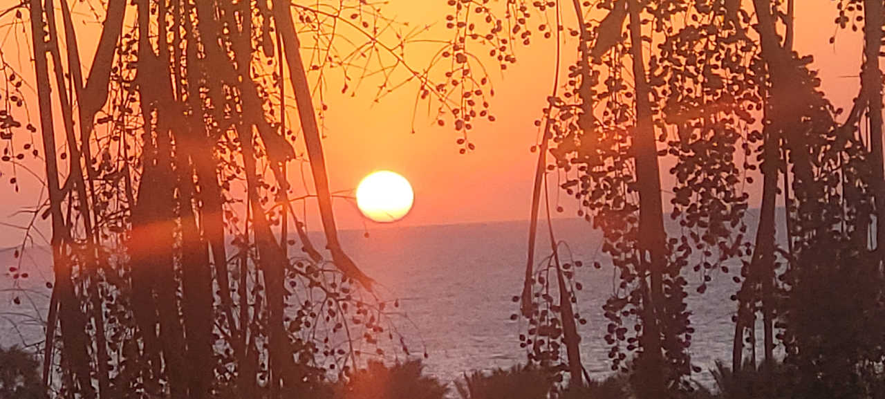 Ausblick Serenity Alpha Beach