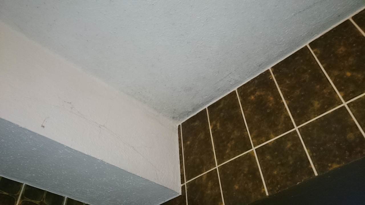 Schimmel Decke Bad Gasthof-Hotel Krone