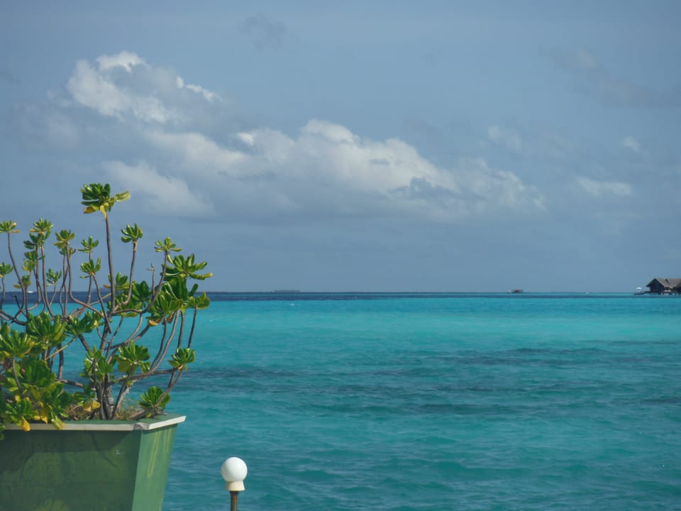 Blick vom Steg aufs Meer Summer Island Maldives