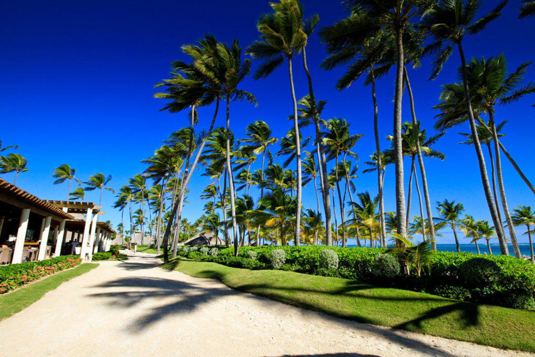 Strand Secrets Royal Beach Punta Cana - Adults only