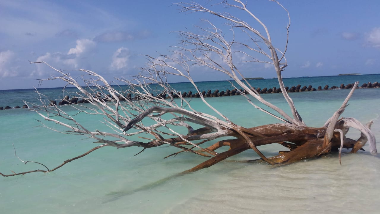 Kuredu Island Resort & Spa Kuredu Island Resort & Spa