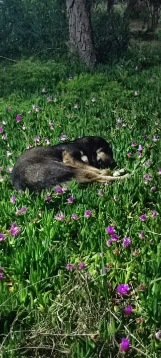 Sonstiges Grand Seker Hotel