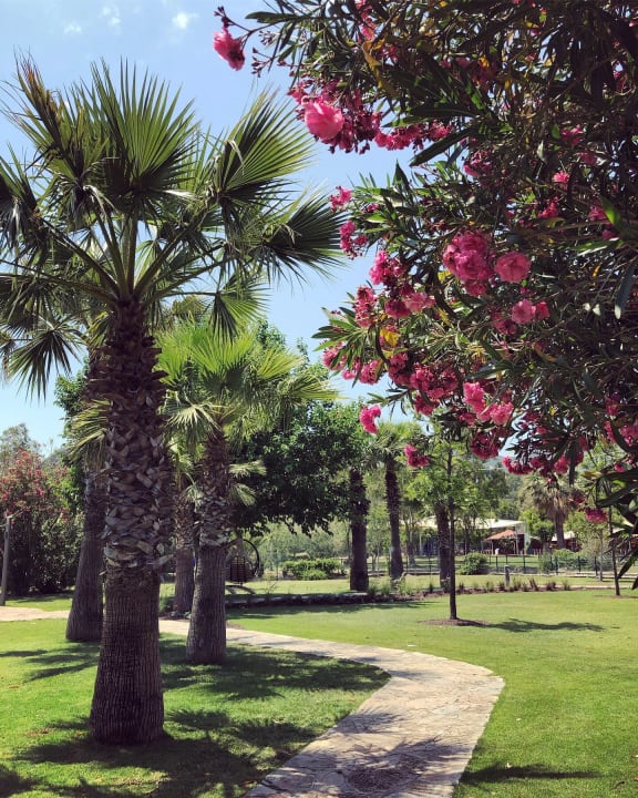Gartenanlage TUI BLUE Sarigerme Park