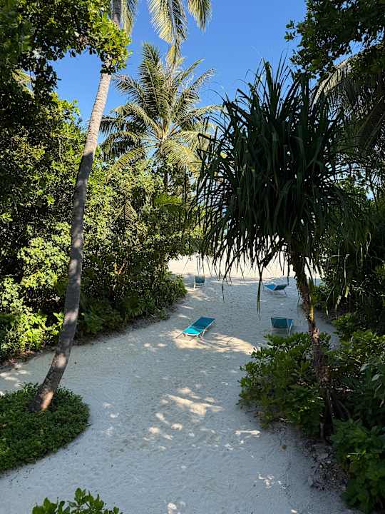 Ausblick Kandima Maldives