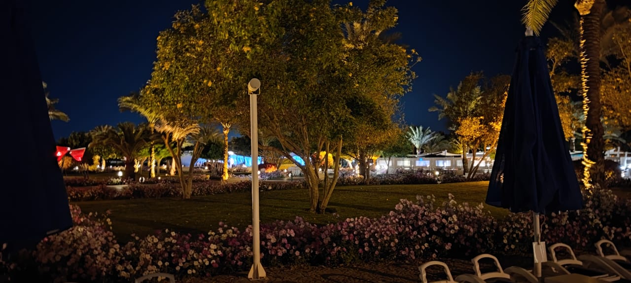 Ausblick Desert Rose
