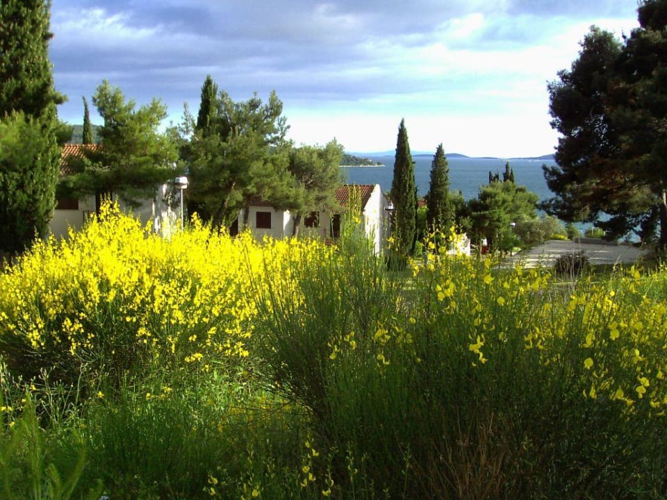 App. Medena Medena Apartments