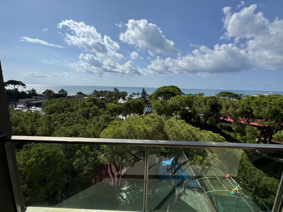 Außenansicht Papillon Ayscha