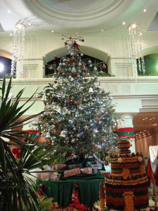 Christmas 2009 Pickalbatros Royal Grand Resort - Sharm El Sheikh