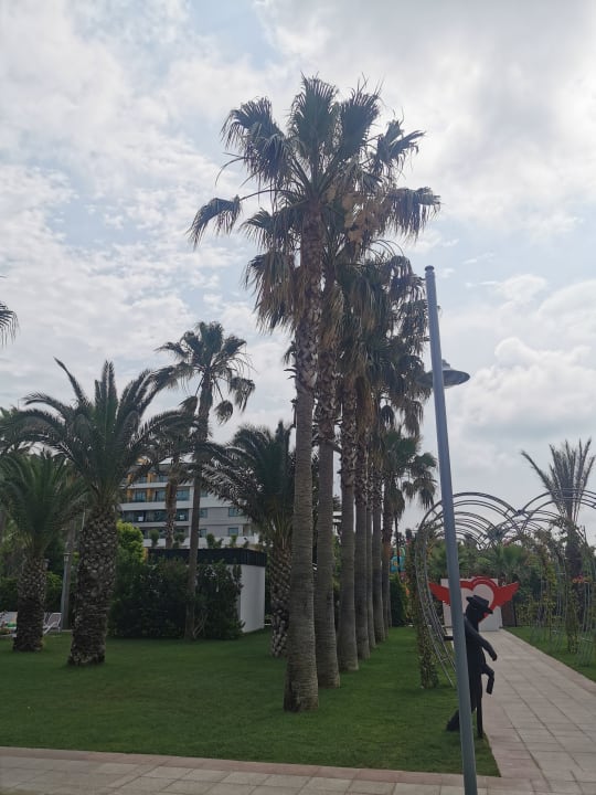 Gartenanlage Belek Beach Resort Hotel