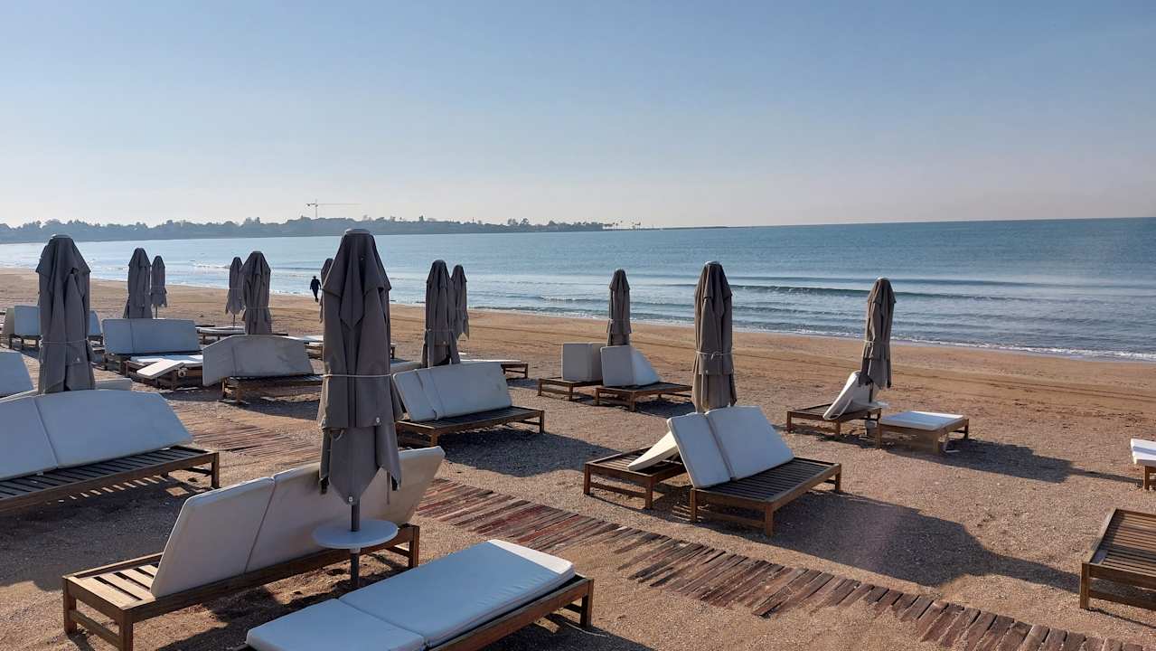 Strand Acanthus Cennet Barut Collection