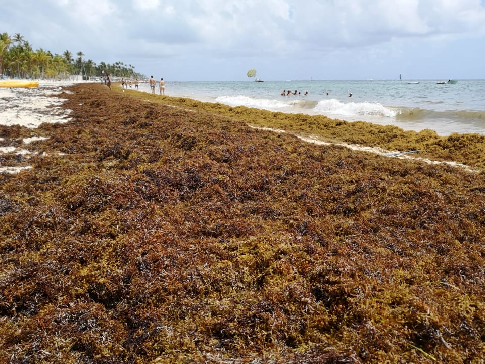 Strand Hotel Riu Bambu