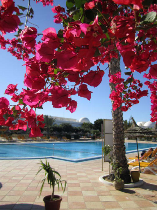 Pool Cesar Thalasso