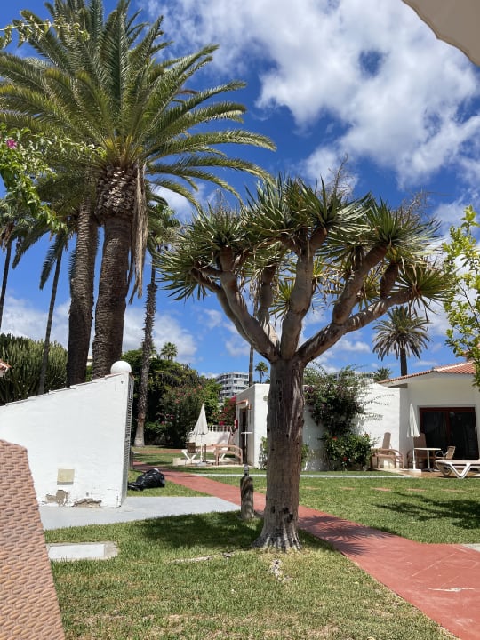 Zimmer HL Miraflor Suites Hotel