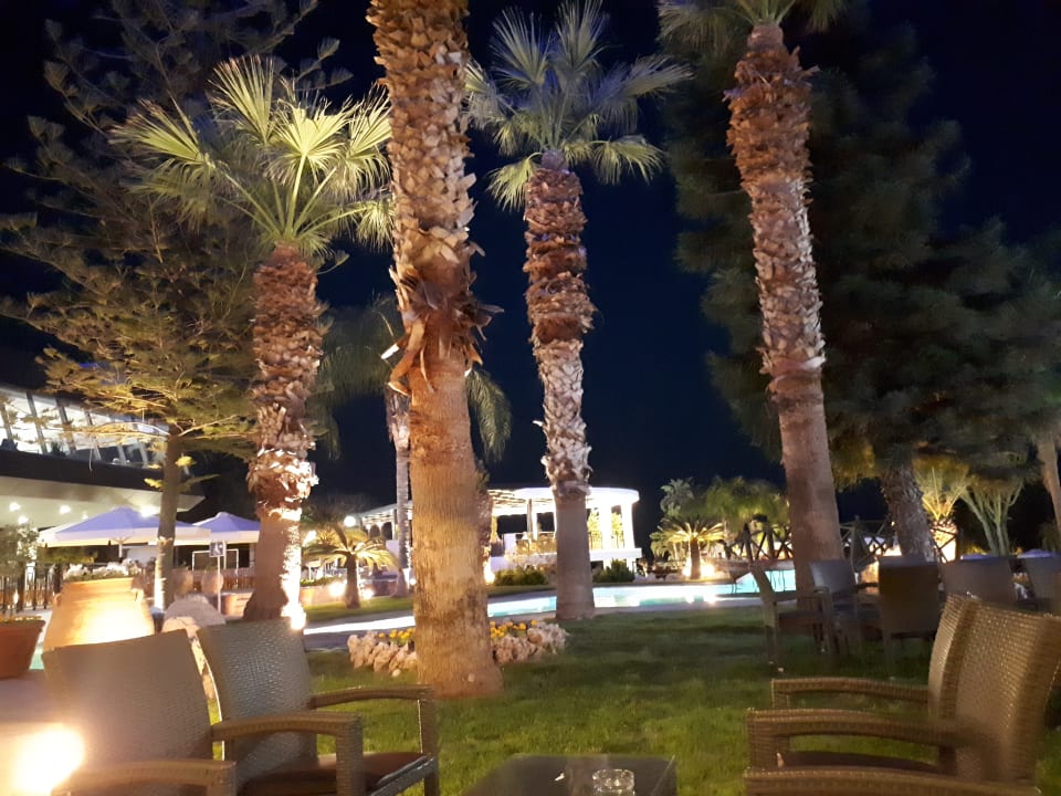 Gartenanlage Hotel Calypso Beach