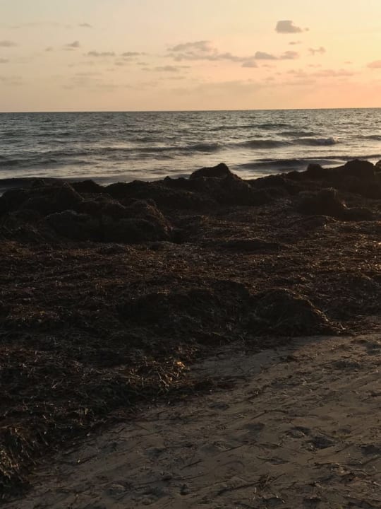 Strand Djerba Sun Beach Hotel & Spa