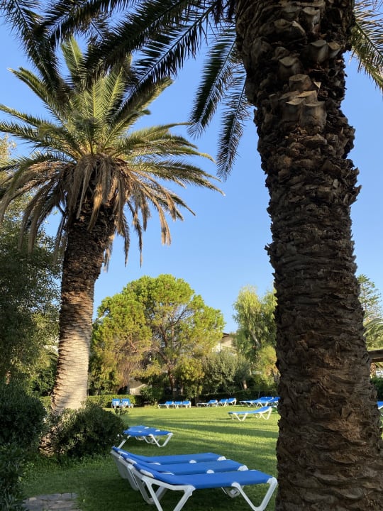 Außenansicht Apollonia Beach Resort & Spa