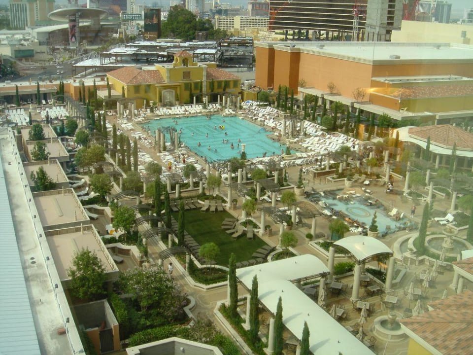 Pool The Venetian Resort & Casino