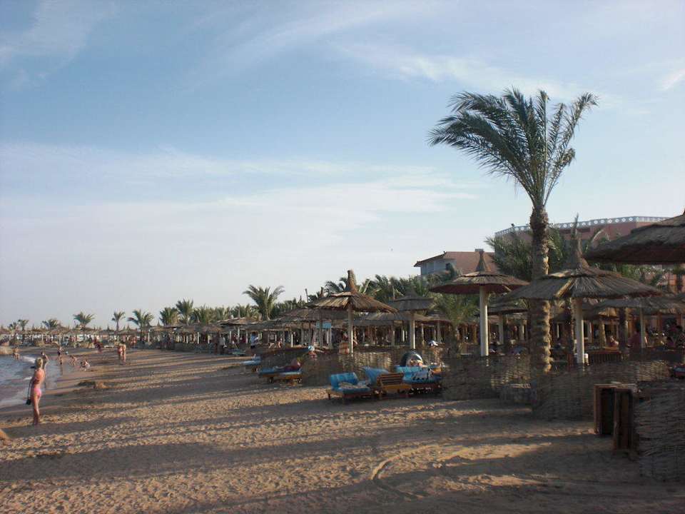 Beach from Hotel Beach Albatros Resort & Spa Beach Albatros Resort