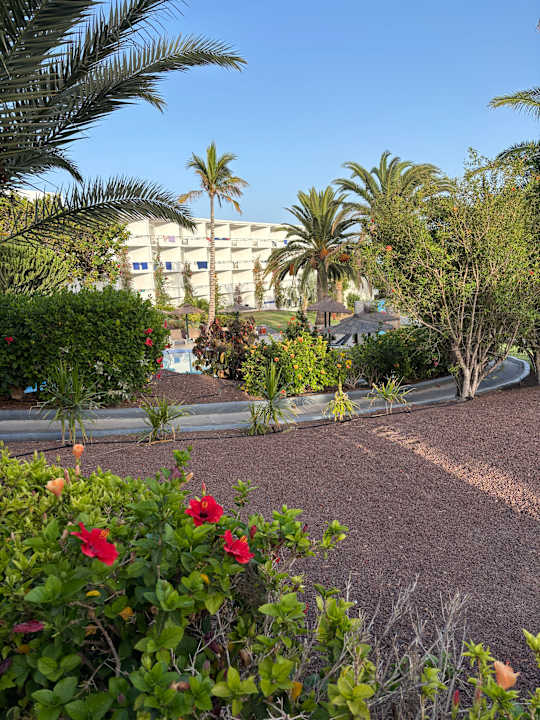 Gartenanlage allsun App.-Hotel Esquinzo Beach