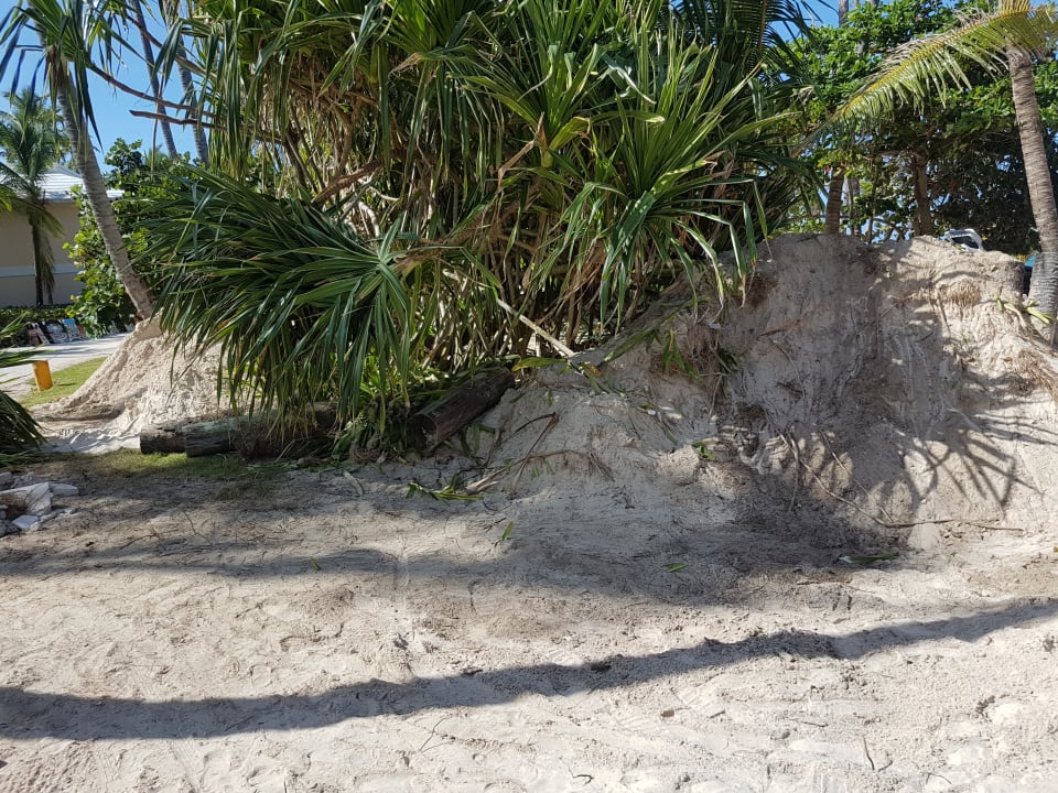 Gartenanlage Hotel Grand Palladium Palace Resort, Spa & Casino