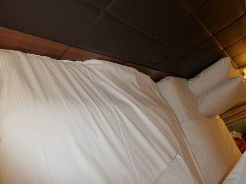 Verzogene Matratze Hilton Garden Inn Frankfurt Airport