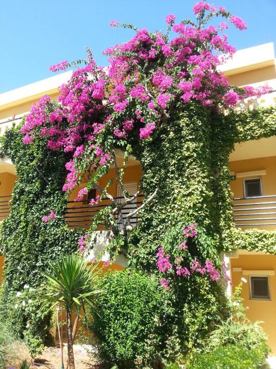 Außenansicht Vantaris Luxury Beach Resort