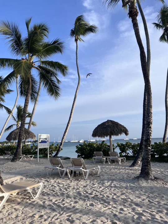 Strand Secrets La Romana Resort & Spa - Adult Only