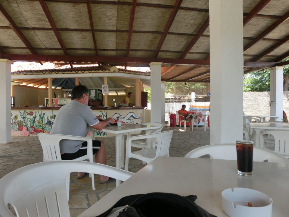 Pool / Strandbar Hotel Albatros