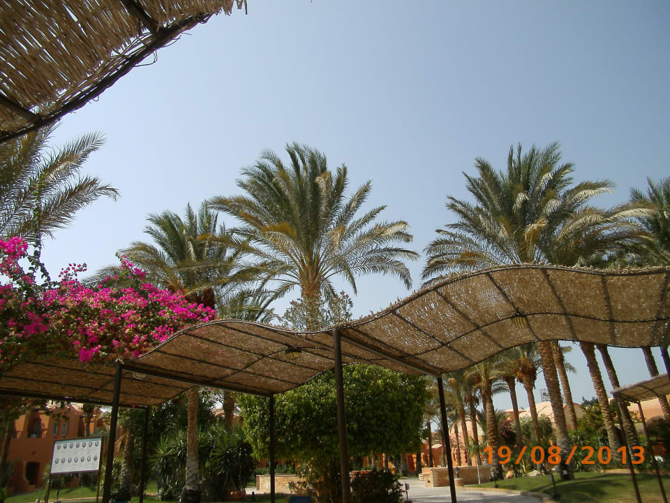 Blumen Jaz Makadi Oasis Resort