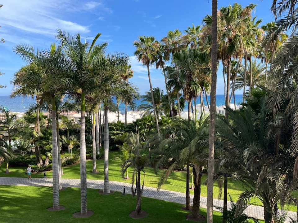 Gartenanlage Hotel Riu Palace Oasis