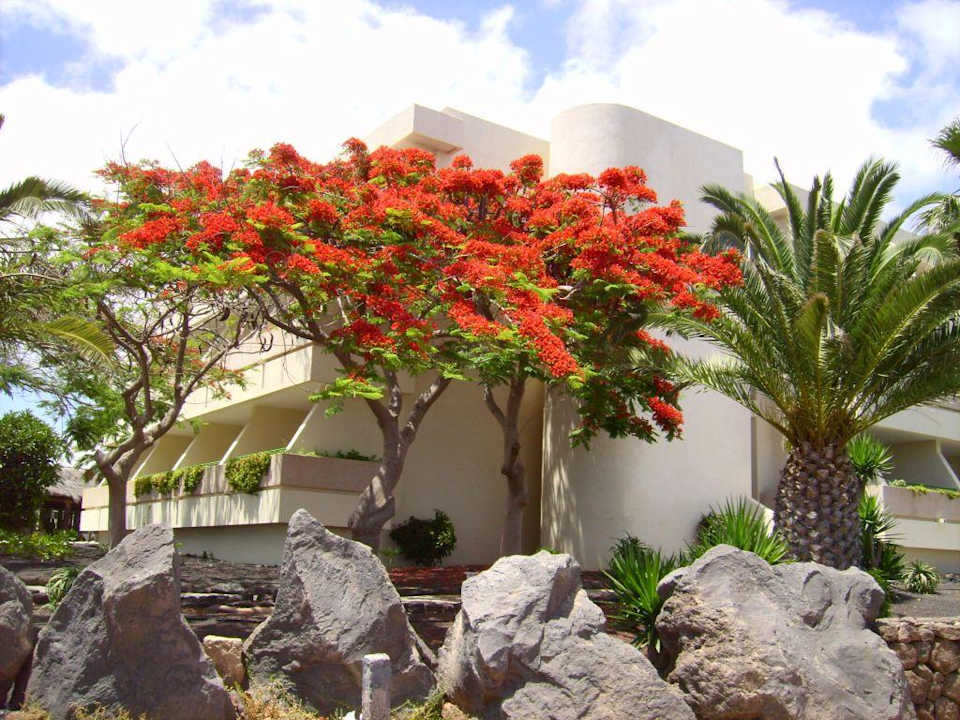 Garten Dreams Lanzarote Playa Dorada Resort & Spa