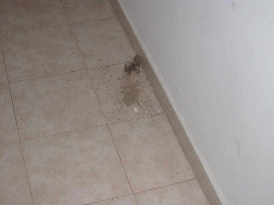 so sauber Club Simó Hotel by Senator