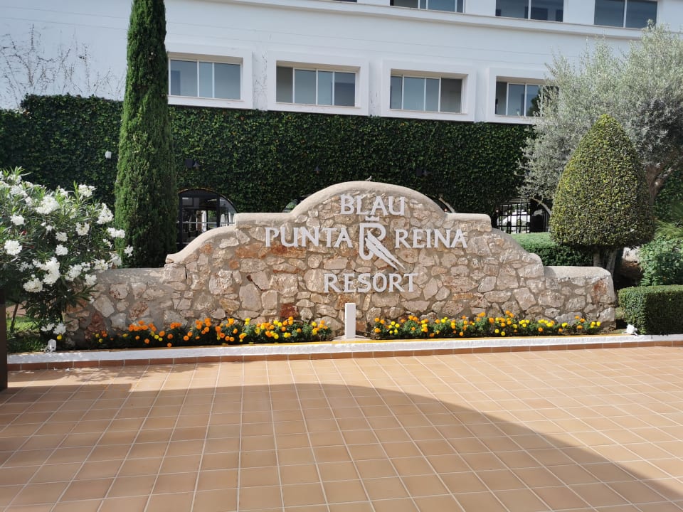 Sonstiges blau punta reina