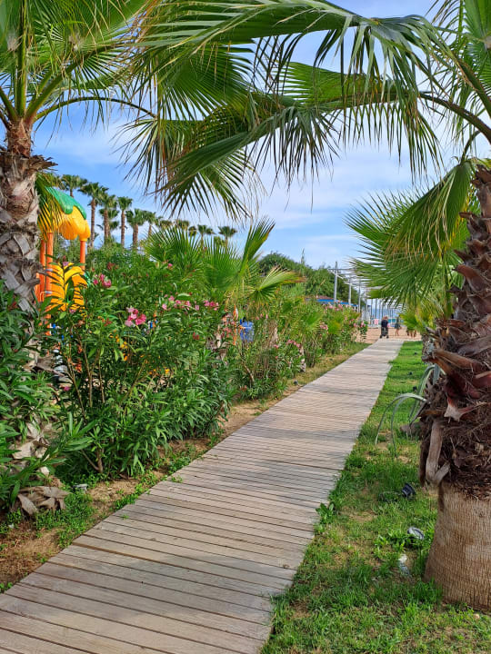 Gartenanlage Dream World Palace Hotel