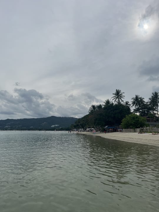 Strand Dara Samui Beach Resort