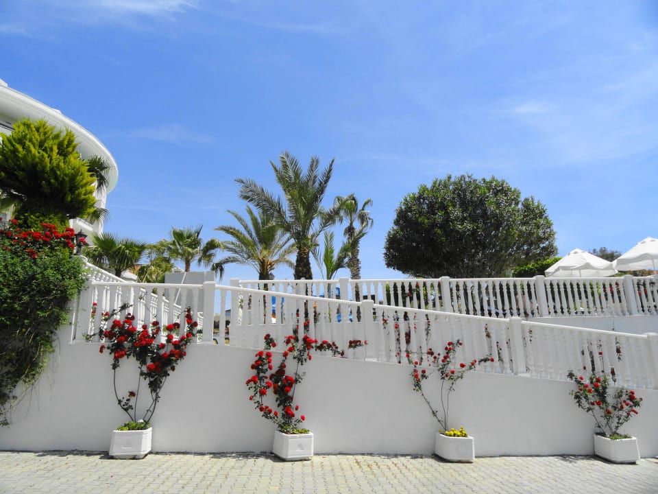 Weg vom Strand zum Pool Alba Queen Hotel